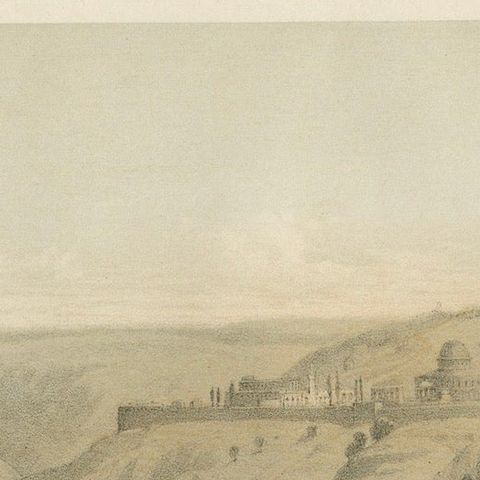 Rare Chromolithograph of the Mount of Olives and Gethsemane near Jerusalem, 1862, close-up 4