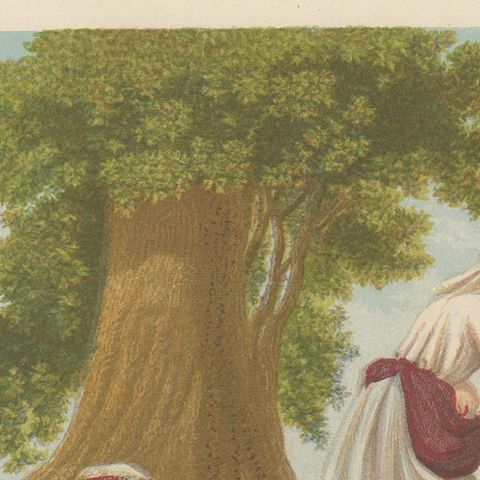 Antique Bible Print of the Enemy Sowing Tares by Kronheim 'c.1860', close-up 1