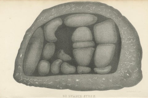 Islamic Relic Print The Black Stone of Mecca, 1863 Dutch Lithograph, close-up 4