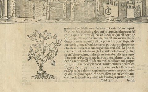 Jerusalem, Holy City View, Early Renaissance Woodcut, c.1560, close-up 2