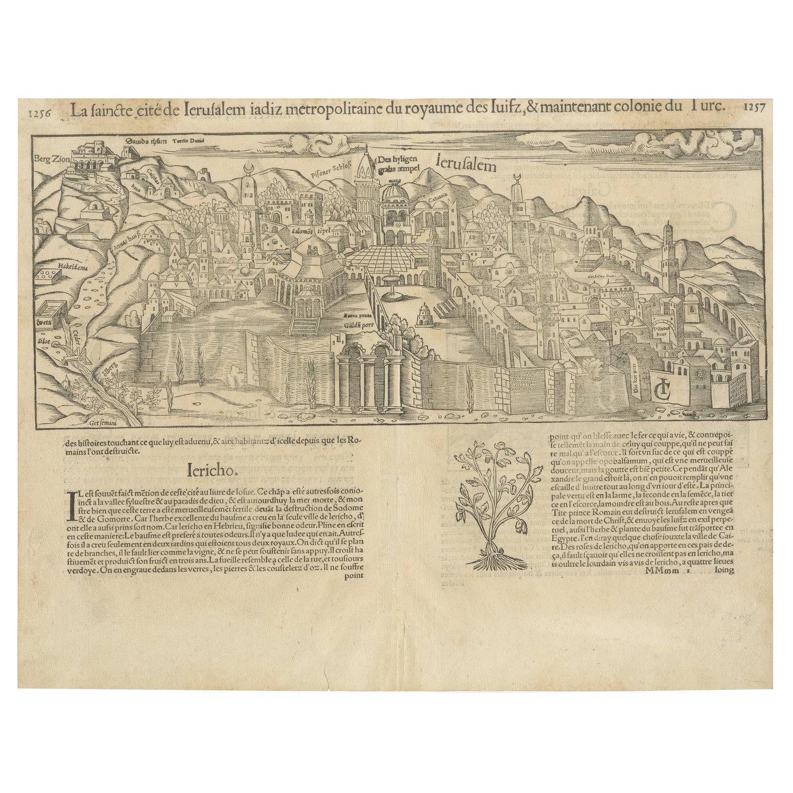 Jerusalem, Holy City View, Early Renaissance Woodcut, c.1560