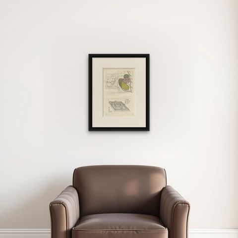 Antique Print with Plans of Jerusalem by Ferrario, '1831', shown framed on a wall, true to size