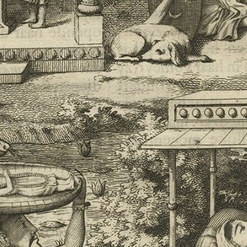 Antique Print of the Hindu God Vishnu Incarnated as Krishna, 1672, close-up 2
