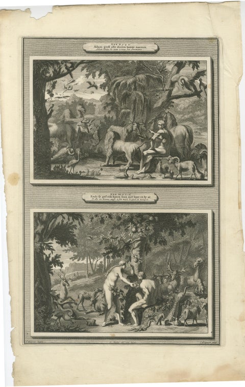 Creation of the World & Genesis Scenes, Mortier Amsterdam, circa 1700, view 5