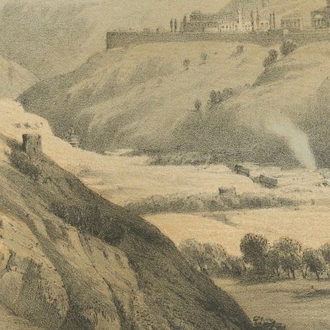 Rare Chromolithograph of the Mount of Olives and Gethsemane near Jerusalem, 1862, close-up 5