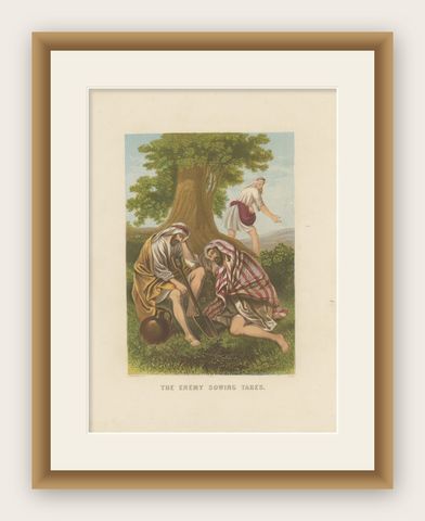 Antique Bible Print of the Enemy Sowing Tares by Kronheim 'c.1860', shown framed