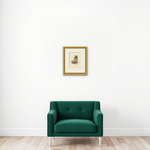 Hand-colored Lithograph, Sa Sainteté Recevant (His Holiness Receiving), 1862, shown framed on a wall, true to size
