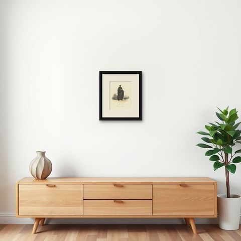 Barnabite, 1862 Hand-Colored Lithograph of a Barnabite Monk, shown framed on a wall, true to size