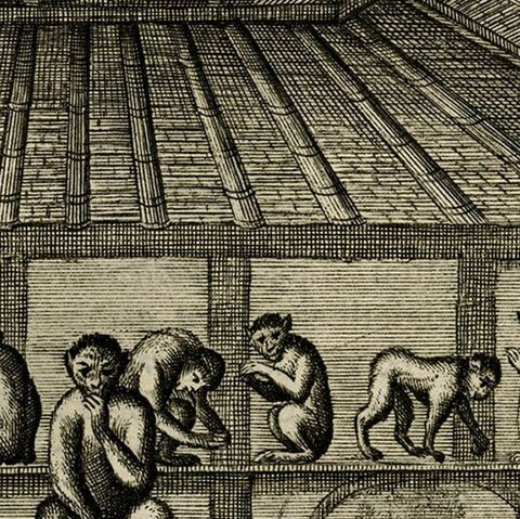 Antique Engraving with a Description of the Monkey Temple in Japan, 1669, close-up 1