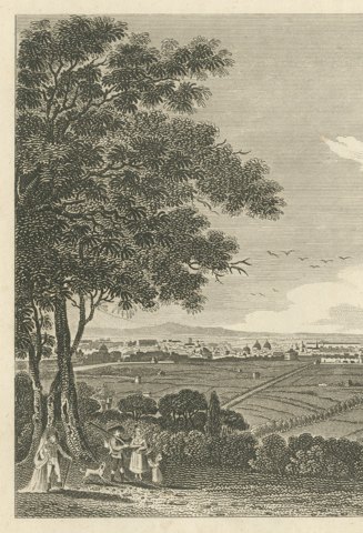 Rome with the Dome of Saint Peter's, Engraving Published by Thomas Kelly, 1816, close-up 1