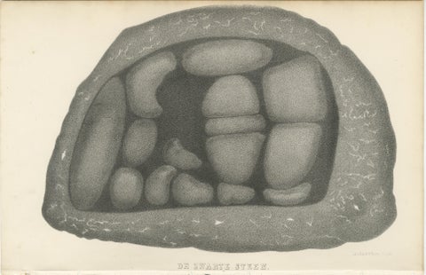 Islamic Relic Print The Black Stone of Mecca, 1863 Dutch Lithograph, view 2
