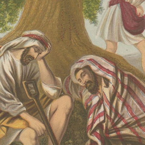 Antique Bible Print of the Enemy Sowing Tares by Kronheim 'c.1860', close-up 2