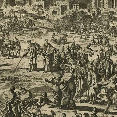 Antique Bible Print Third Plague of Egypt by J. Luyken, 1743, close-up 2