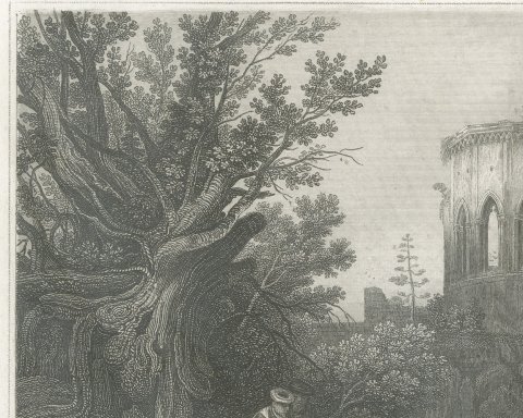 Antique View of the Ruins of Samaria, Holy Land Engraving, circa 1850, close-up 1
