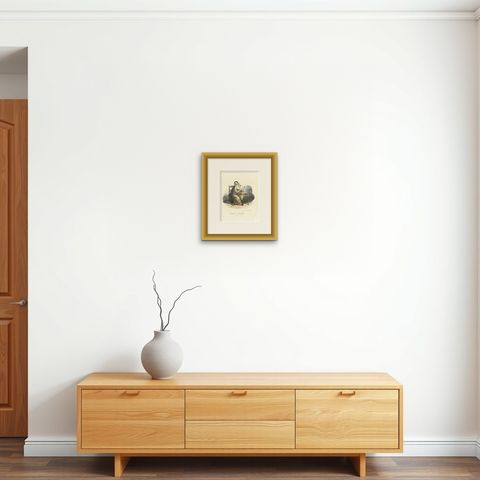 Dominicaine Religious Order Portrait, Handcolored Antique Print, 1862, shown framed on a wall, true to size