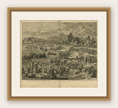 Antique Bible Print Second Plague of Egypt by J. Luyken, 1743, shown framed