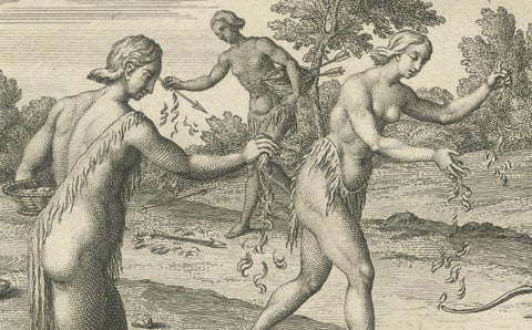 Florida Women Mourning Their Husbands, with Hermaphrodites in Ritual Service, close-up 2
